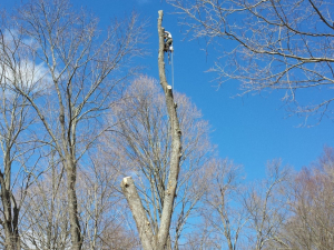 484868891_9479711645385282_923454824059355560_n