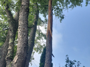 484876000_1633346470868372_425112984659370741_n