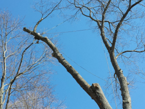 484898438_9479711615385285_2381963168649975001_n