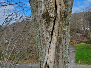 484901545_9479711945385252_3442475675375726377_n