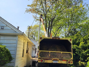 484983085_1629534481249571_45713950986858102_n