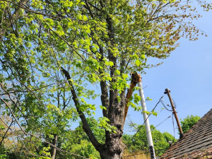 485168657_1629534434582909_5103856664317536099_n