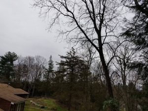 57160421_2244767835546402_2113893374497914880_n