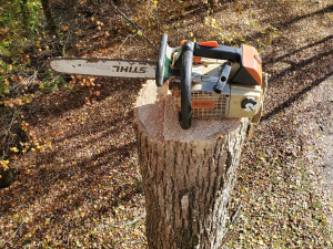 87019704_2839144929442020_9037486161521541120_n